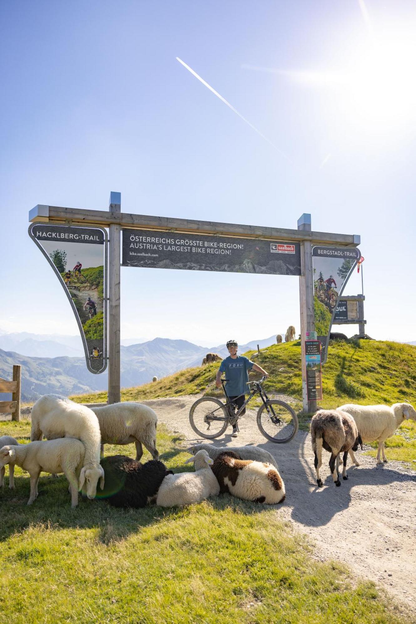 Landhaus Saalbach - Joker Card Included In Summer Eksteriør bilde